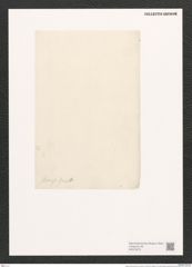 Amphora flexuosa Grev. (de-Toni-Nr.: Genus 36, Species 1511) Zeichnungen Sammlung Grunow (NHMW-BOT-W0370275)